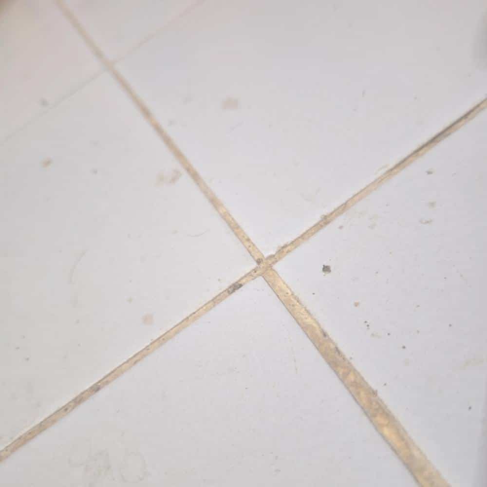 Innovative Solutions for Concrete Leaks